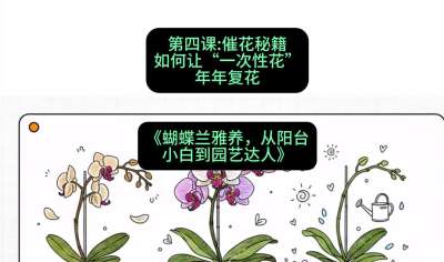 第四节：催花秘籍：如何让&ldquo;一次性花&rdquo;年年复花，课程：《蝴蝶兰雅养六讲：从阳台小白到园艺达人》#识农AI