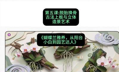 第五节：脱胎换骨：古法上板与立体造景艺术，课程：《蝴蝶兰雅养六讲：从阳台小白到园艺达人》#识农AI