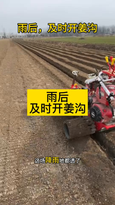 雨后，及时开姜沟！