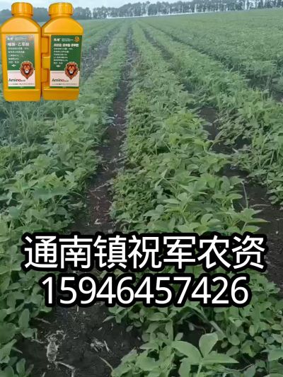 大豆苗前封闭，可封红根苋菜，灰菜，兰花菜，野豆子，捞豆秧等恶性杂草，封杀兼备的高端产品。