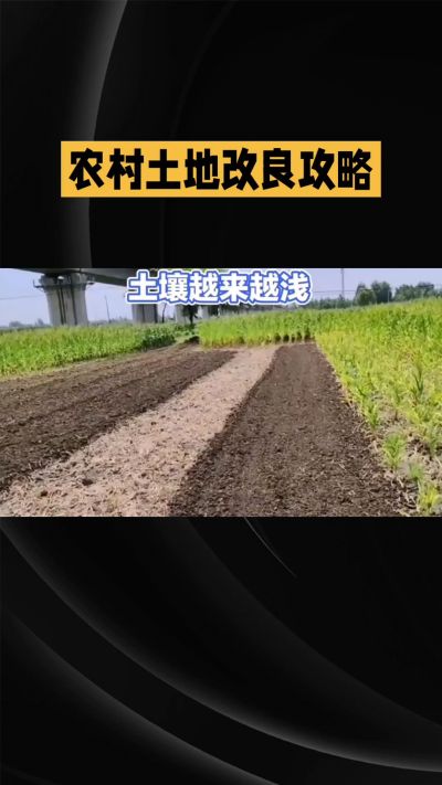 1. 先搞懂：你到底要改良哪块地、种什么
 
- 土土土在哪里？
就是你自家农田、菜地、果园，哪块地想种庄稼，就测哪块地的土。
​
- 有水没有水？
有水能浇：改良更省事，施肥、调酸碱都好操作。
没水