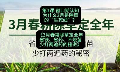 第1节：窗口期认知，为什么3月是除草的&ldquo;生死线&rdquo;？，课程：《3月春耕除草定全年：省钱、省药、不烧苗、少打两遍药的秘密》